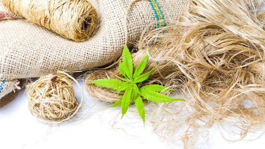 How Hemp Products Boosted Retail Sales for Businesses